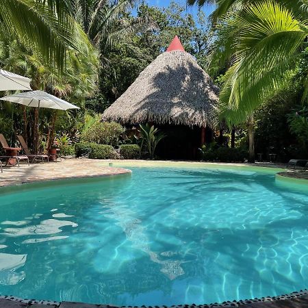Hotel El Pequeno Gecko Verde Sámara Eksteriør billede