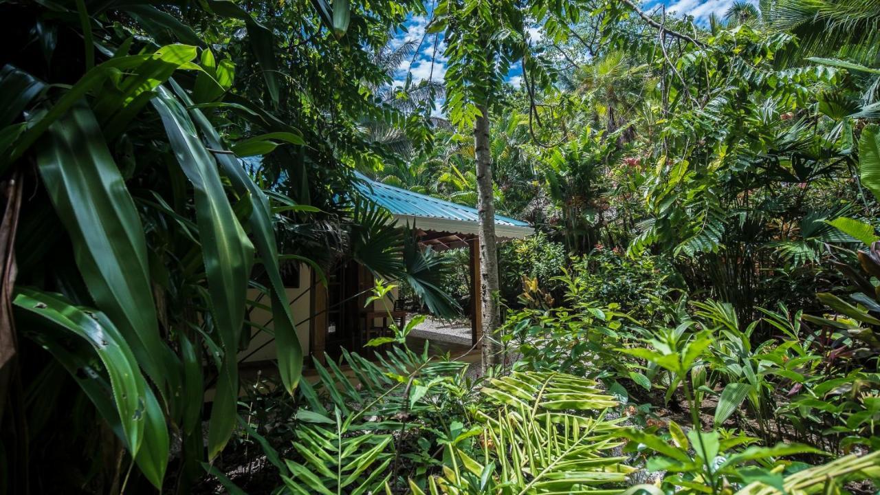 Hotel El Pequeno Gecko Verde Sámara Eksteriør billede