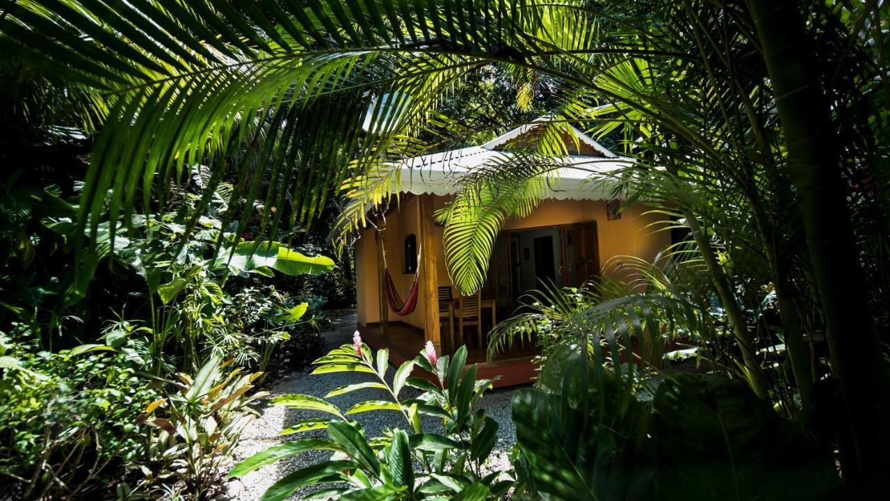 Hotel El Pequeno Gecko Verde Sámara Eksteriør billede