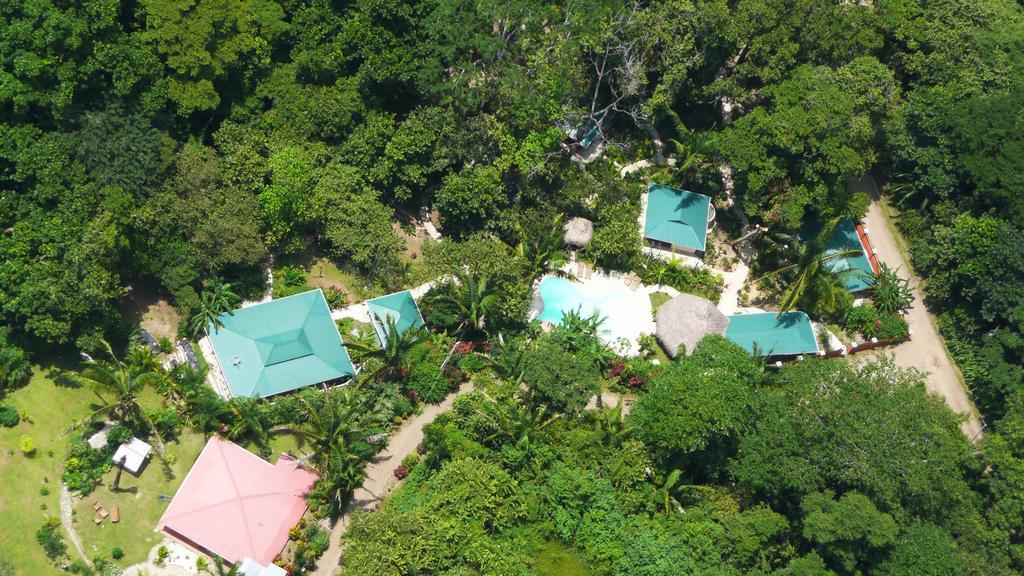 Hotel El Pequeno Gecko Verde Sámara Eksteriør billede