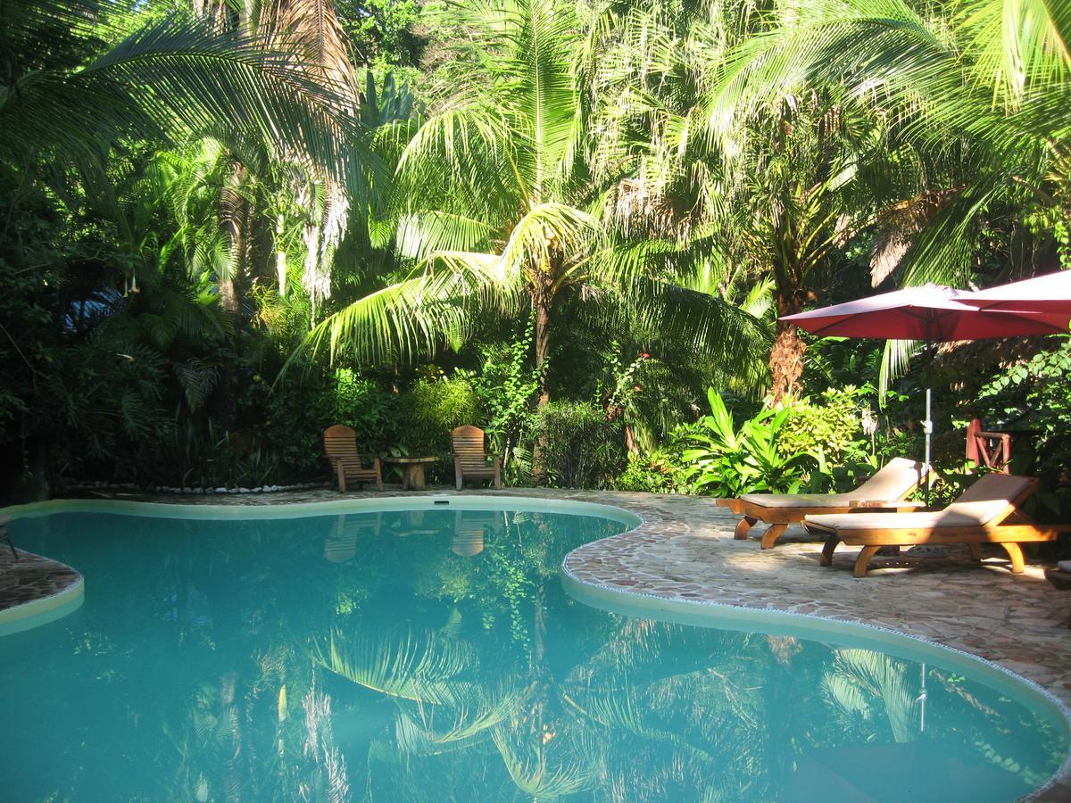 Hotel El Pequeno Gecko Verde Sámara Eksteriør billede