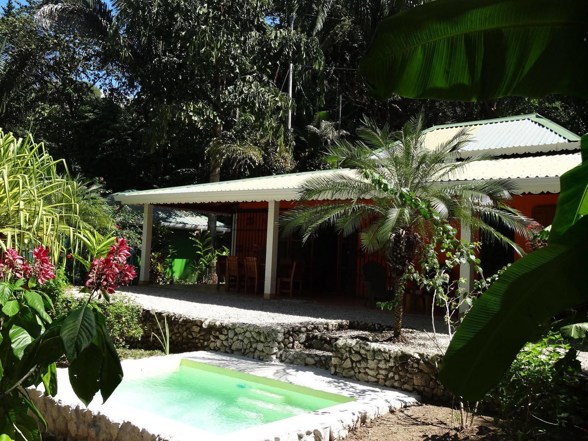 Hotel El Pequeno Gecko Verde Sámara Eksteriør billede
