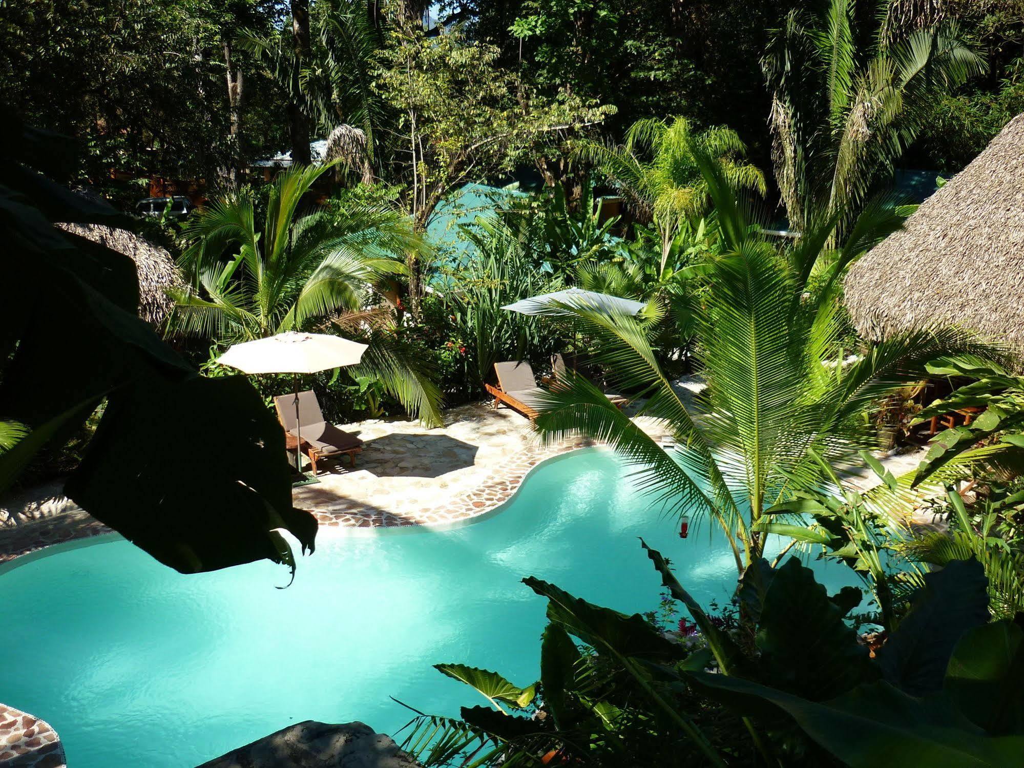 Hotel El Pequeno Gecko Verde Sámara Eksteriør billede