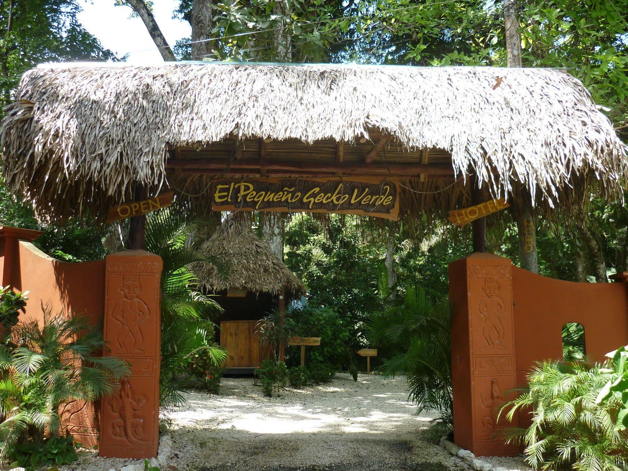 Hotel El Pequeno Gecko Verde Sámara Eksteriør billede