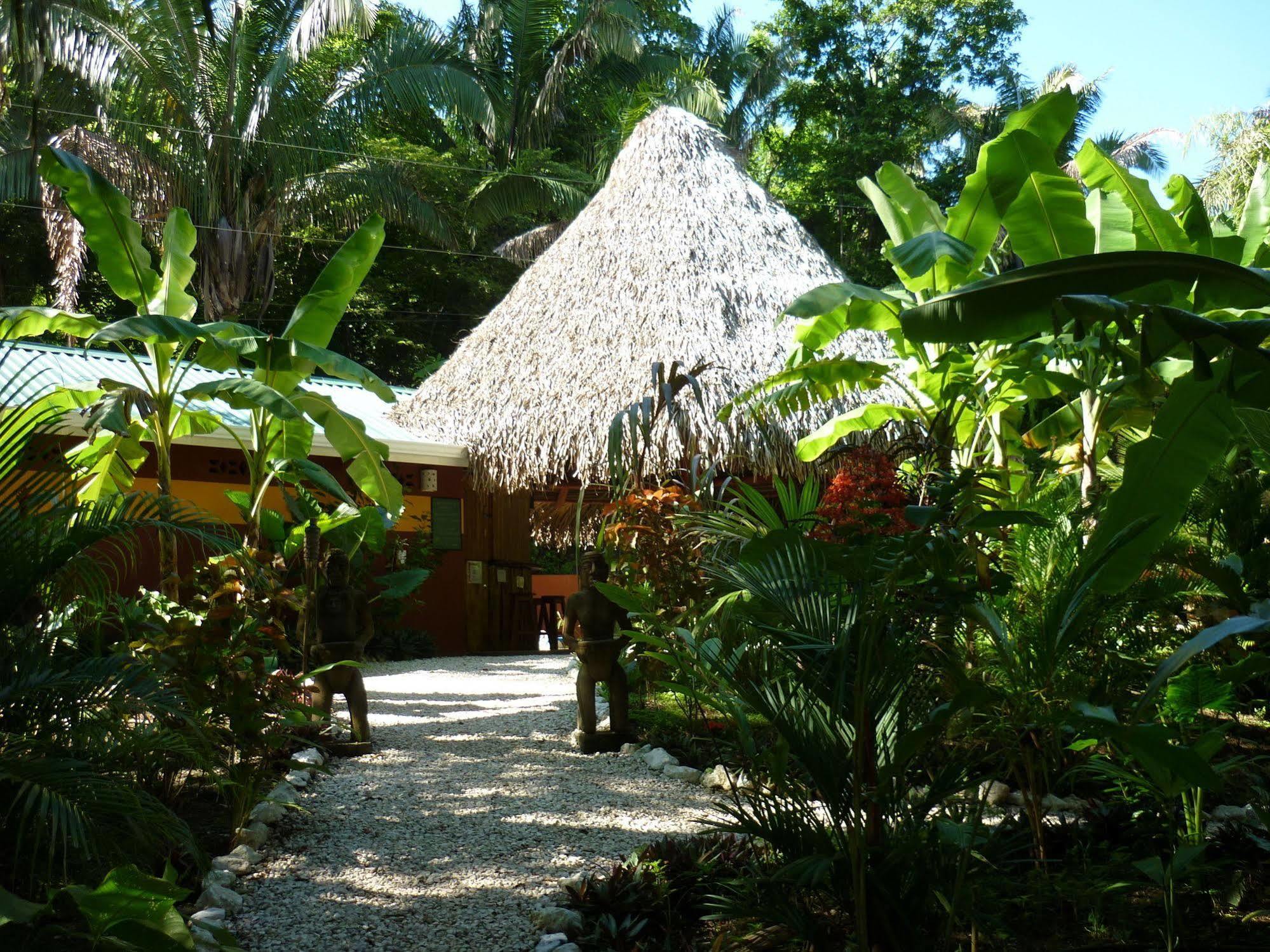 Hotel El Pequeno Gecko Verde Sámara Eksteriør billede