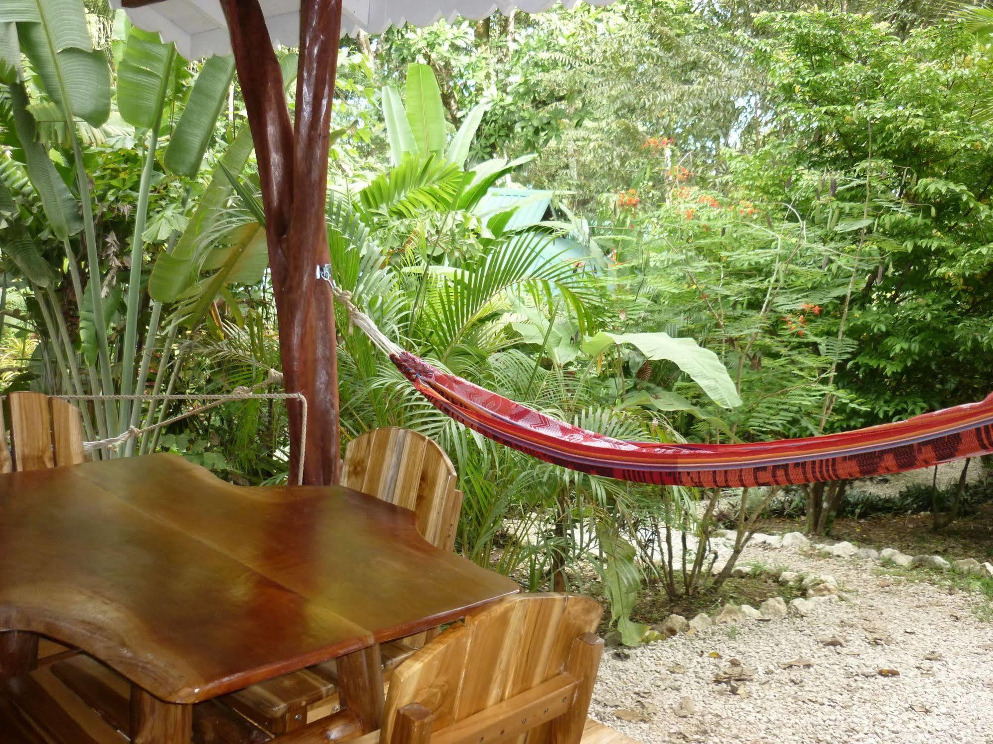 Hotel El Pequeno Gecko Verde Sámara Eksteriør billede