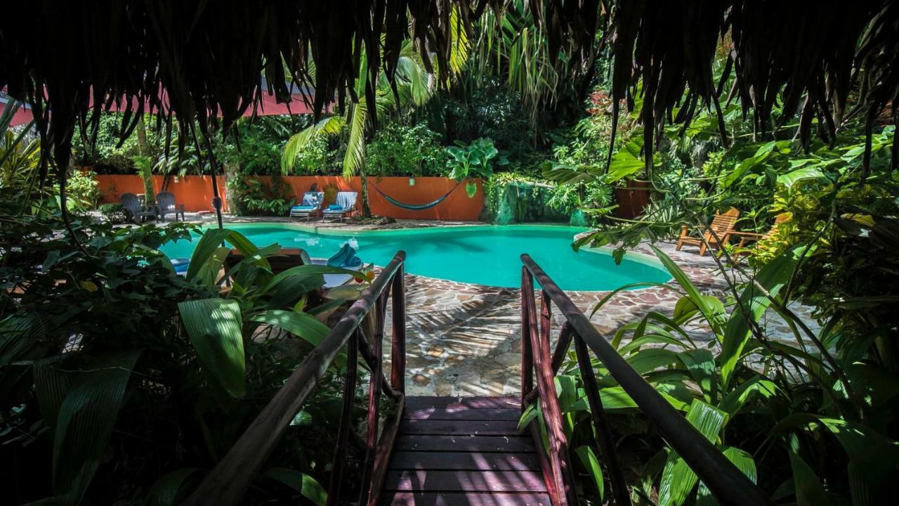 Hotel El Pequeno Gecko Verde Sámara Eksteriør billede