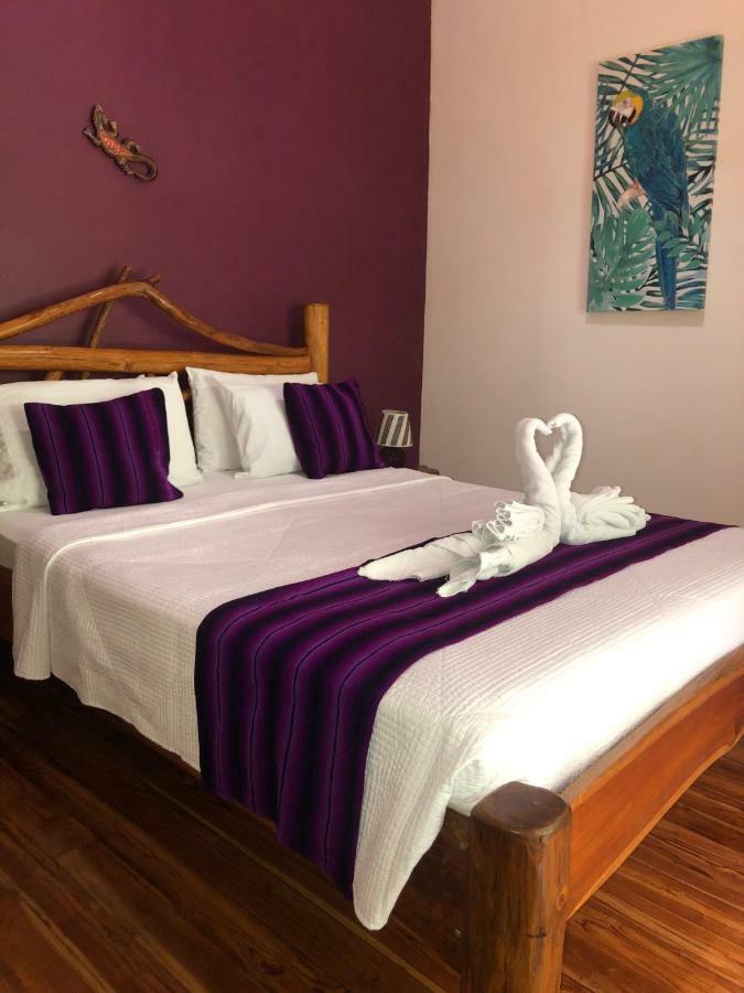 Hotel El Pequeno Gecko Verde Sámara Eksteriør billede
