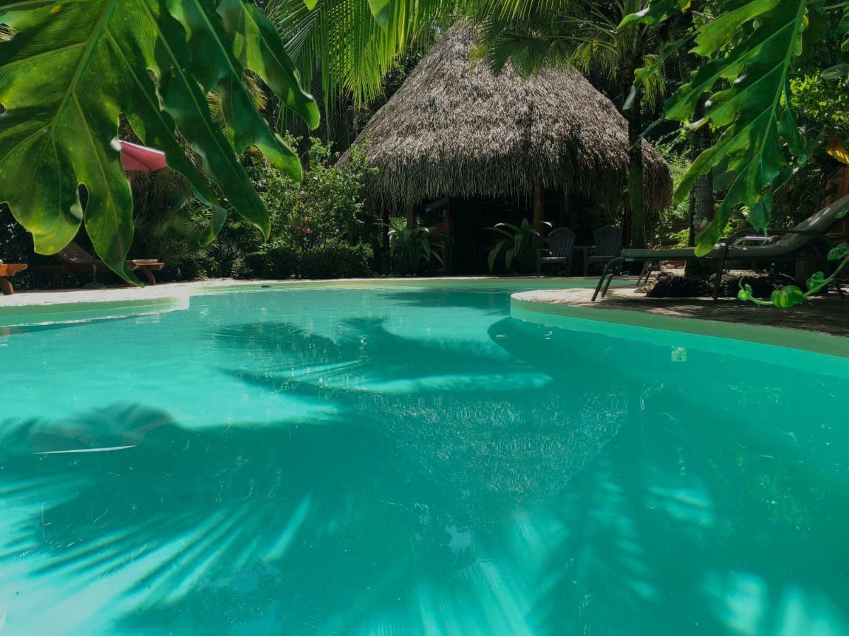 Hotel El Pequeno Gecko Verde Sámara Eksteriør billede